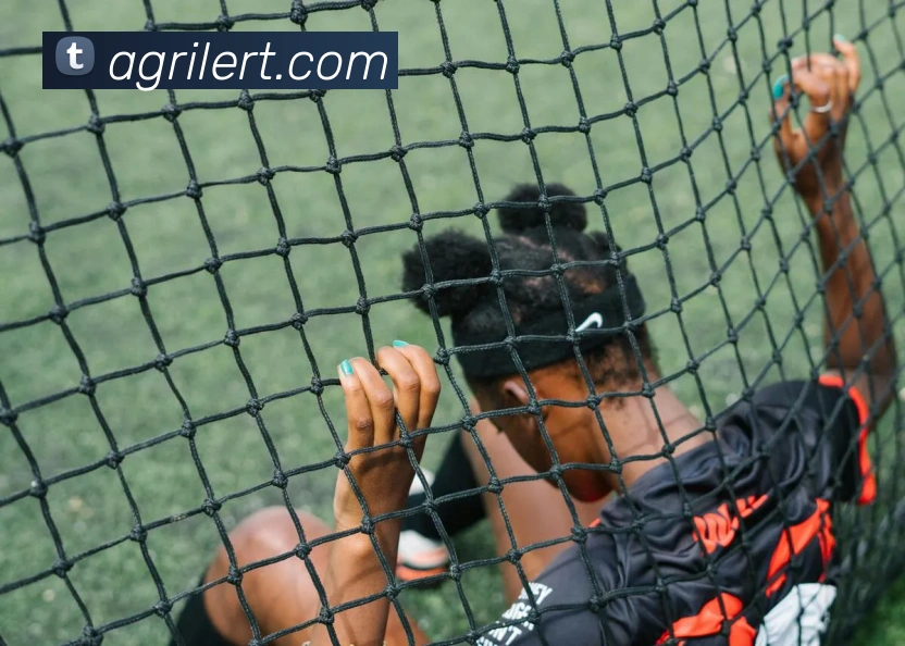 ag官网平台生态图