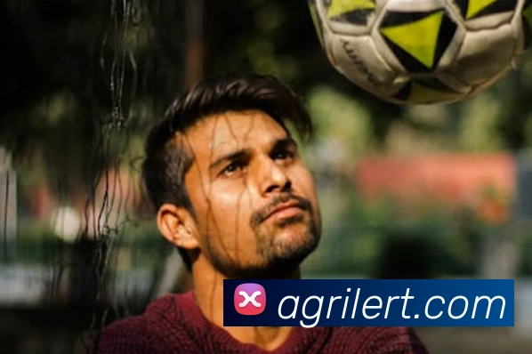 ag官网APP 封面图