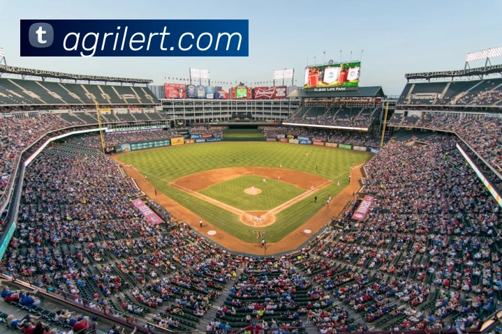 数据防护可视化